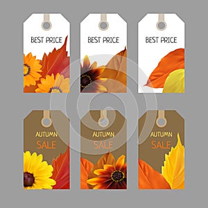 Set colorful autumn stickers