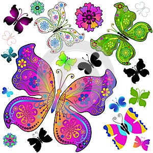 Set colorful and black butterflies