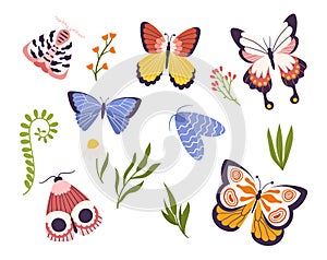 Set Of Colorful Butterflies, Fluttering With Grace And Beauty, Showcasing Intricate Patterns And Vibrant Hues