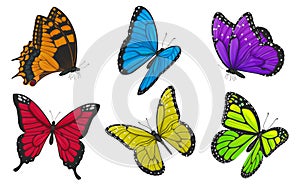 Set of colorful butterflies. Vector