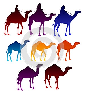 Set of Colorful Camels and Arab Men Riding in Camels