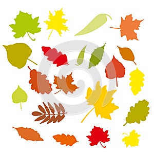 Set of colorful cartoon autumn leaves. Vector illustration.