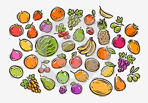 Set of colorful cartoon fruit. Food vector illustration