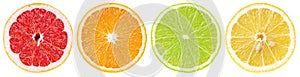 Set of colorful different citrus fruit slices isolated on white