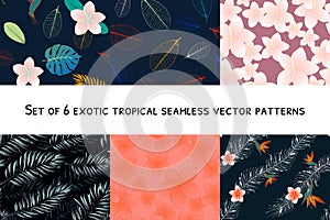 Set with colorful floral tropic desin seamless patterns. Wild flowers and leaves background