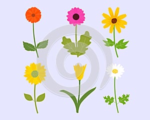 Set of colorful flower in spring season. Vector illustration flat lay flowers element