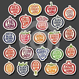 Set colorful Fruits Jam icons
