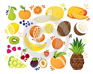 Set of colorful hand draw fruits tropical sweet fruits, and citrus fruit illustration. Apple, pear, orange, banana