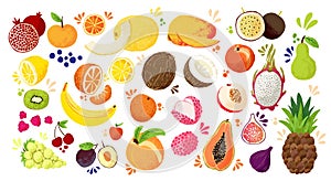 Set of colorful hand draw fruits - tropical sweet fruits, and citrus fruit illustration. Apple, pear, orange, banana