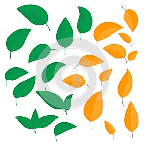Set of colorful leaves in summer and autumn differently curled isolated on white background