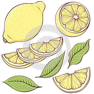 Set of colorful lemon