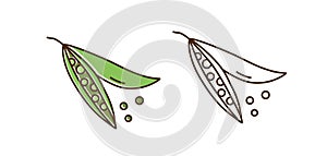 Set of colorful and monochrome pea vector illustration. Cute organic natural peas in line art design. Cultivated pod