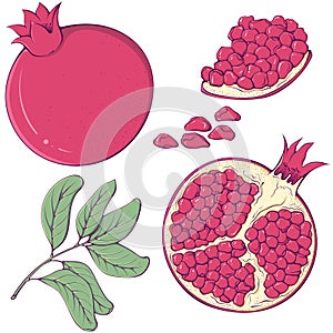 Set of colorful pomegranate