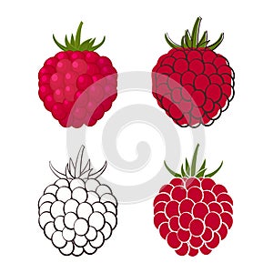 Set of colorful raspberry icons on a white background, silhouett