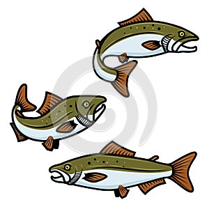 Set of colorful salmon fish sign on white background. Trout fishing. Design element for logo, label, emblem, sign.
