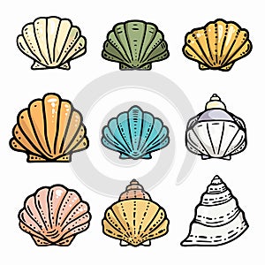 Set colorful seashell illustrations isolated white background. Various types seashells, marine