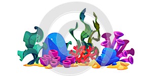 Set of colorful seaweeds for seabed design