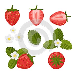 Set of colorful strawberry icons on a white background