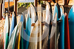 Set of colorful surfboard for rent on the beach. Multicolored surf boards different sizes and colors surfing boards on