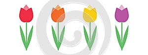 Set of colorful tulips: red, orange, yellow, purple isolated on white background vector. Spring garden flowers