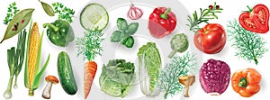 Set of colorful vegetables. Mesh vector