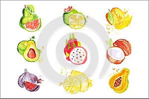 Set of colorful watercolor fruits vector Illustrations