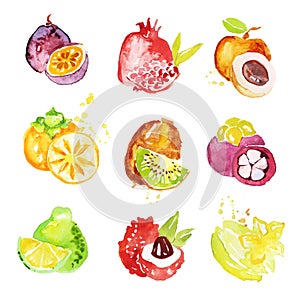 Set of colorful watercolor fruits vector Illustrations