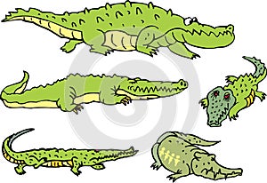 Set of comic gators and amusing crocodiles