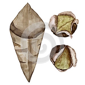 Set for the composition of roasted chestnuts. Chestnut leaf and paper bag. Watercolor illustration.