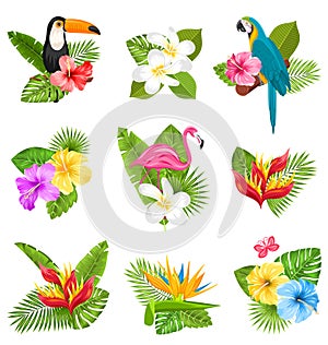 Set Composition with Tropical Flowers, Exotic Bird and Plants