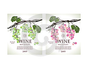 Set of conceptual labels for white and rose wine