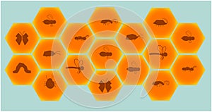 The set consists of honeycombs and insect figures inside each cell.