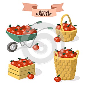 Set of containers for apples. Apple harvest