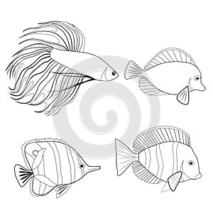 Set of contour different tropical fish. Fish rooster, pennant fish, royal angel. Marine inhabitants. Vector outline silhouette