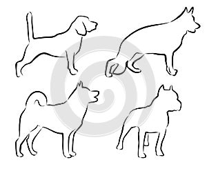 Set contour dogs. petshop, veterinar