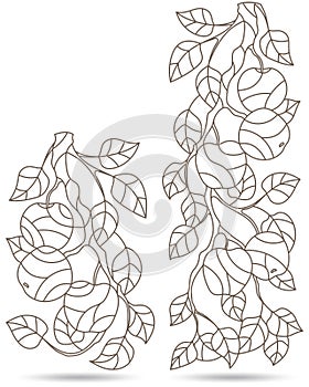 A set of contour illustrations of stained glass Windows with tree branches, Apple tree branch with ripe fruit and leaves