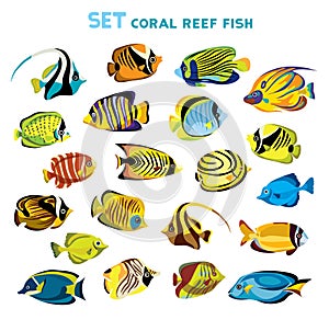 Set of coral reef fishes