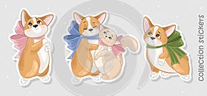 Set of Corgi and Cat stickers,icons. Cute dog with romantic items.