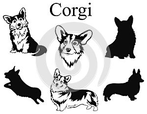 Set of corgi. Collection of pedigree dogs. Black and white illustration of a dog corgi. Vector drawing of a pet. Tattoo.