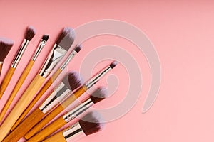 A set of cosmetic brushes. Makeup brushes.