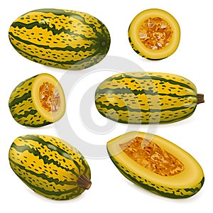 Set of Courge Spaghetti winter Squash