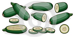 Set of Cousa or Kousa squash. Clipart