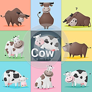 Set of Cow family