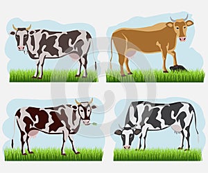 Set of cow, flat icons. Vector cows of different colors