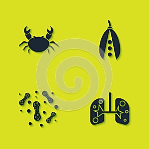 Set Crab, Lungs, Bacteria and Kidney beans icon. Vector