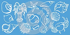 Set of crab, sea horse, cancer, seashell, sea urchin, starfish. Sketch vector.