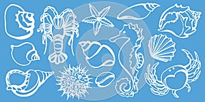 Set of crab, sea horse, cancer, seashell, sea urchin, starfish. Sketch vector. photo