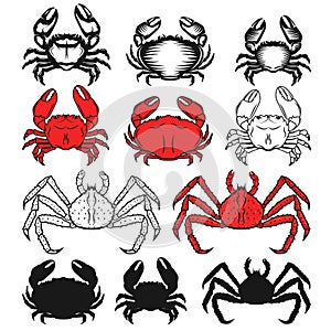 Set of the crabs icons on white background. Seafood Design element for logo, label, emblem, sign. Vector illustration.