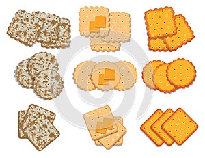 Set of cracker chips. vector