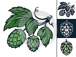 Set of craft beer hop for logo and emblem in bar